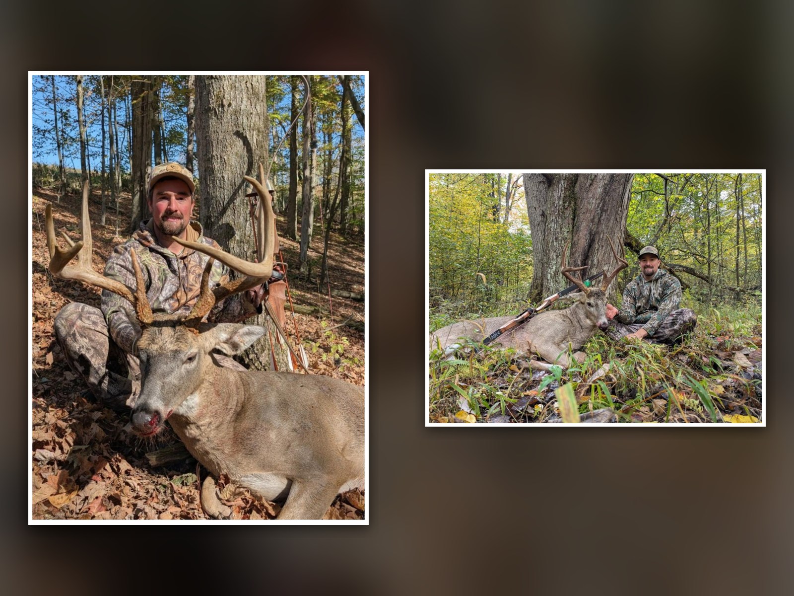 Cody Gulvas, Whitetail Consultant
