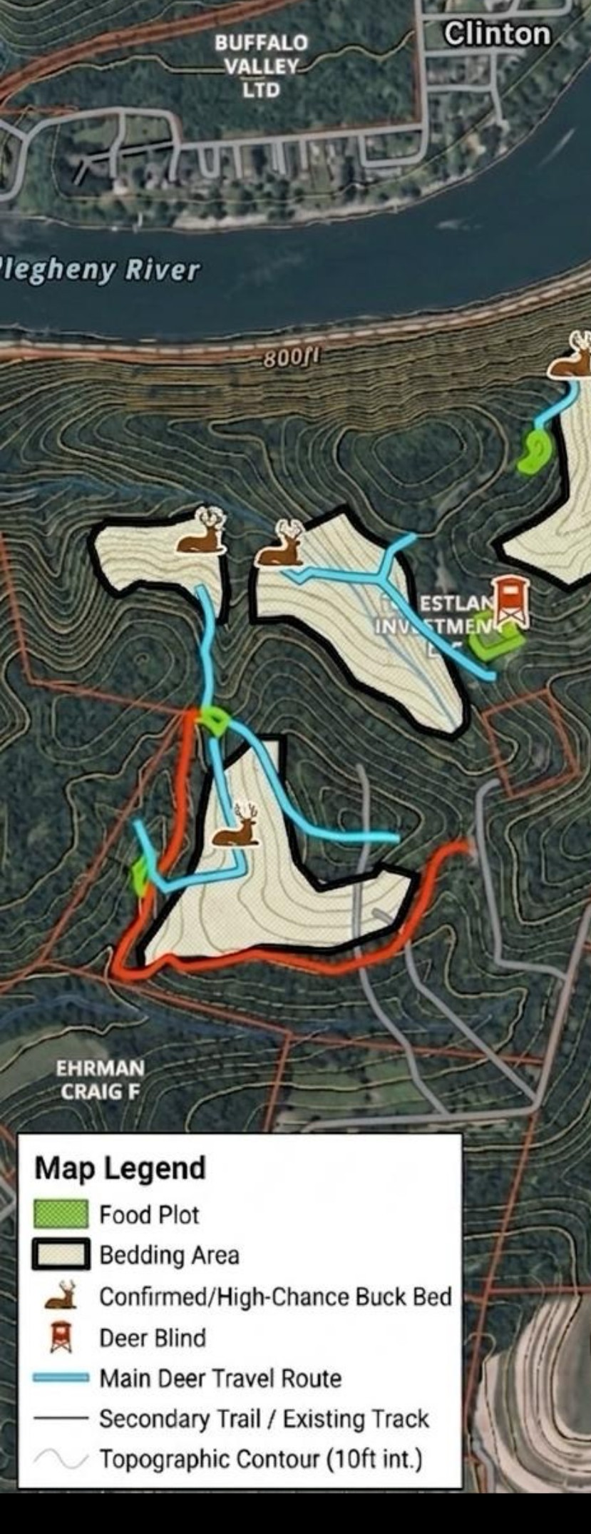 Whitetail Consulting & Habitat Improvement Plans