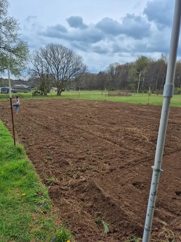 Local excavation in Luthersburg