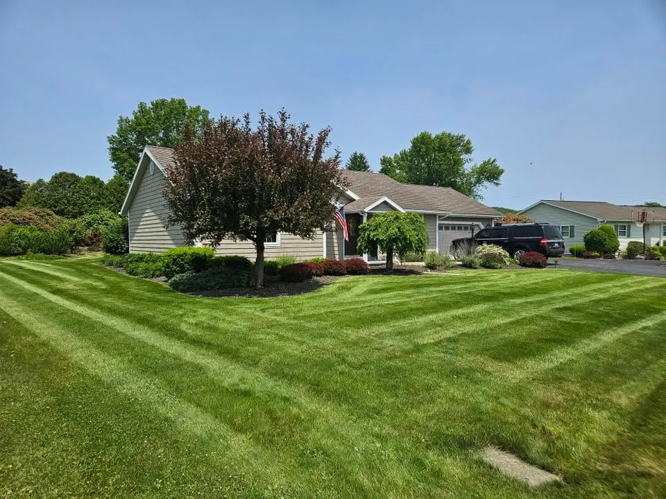 Lawn Care & Mowing