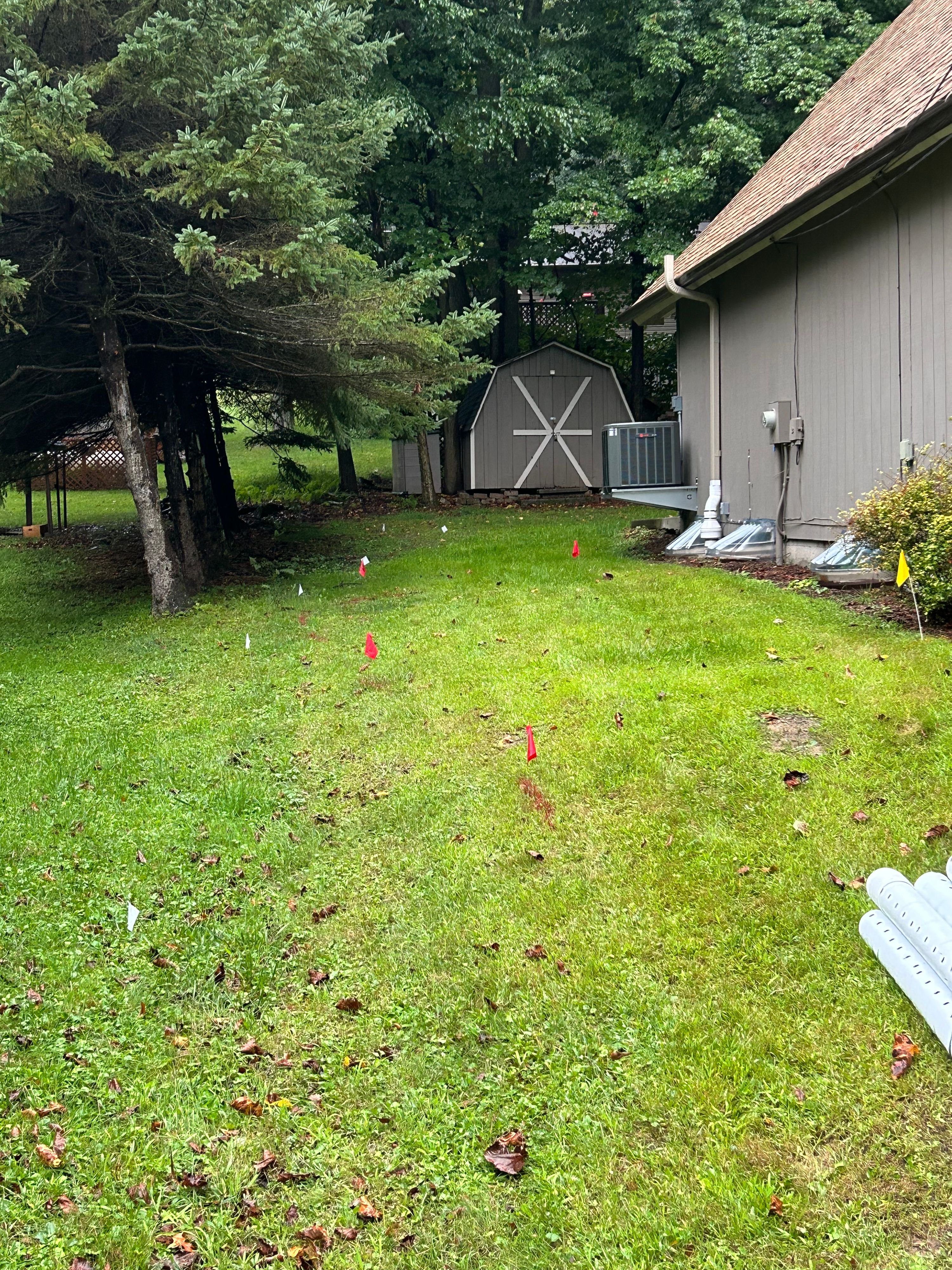Project photo 6