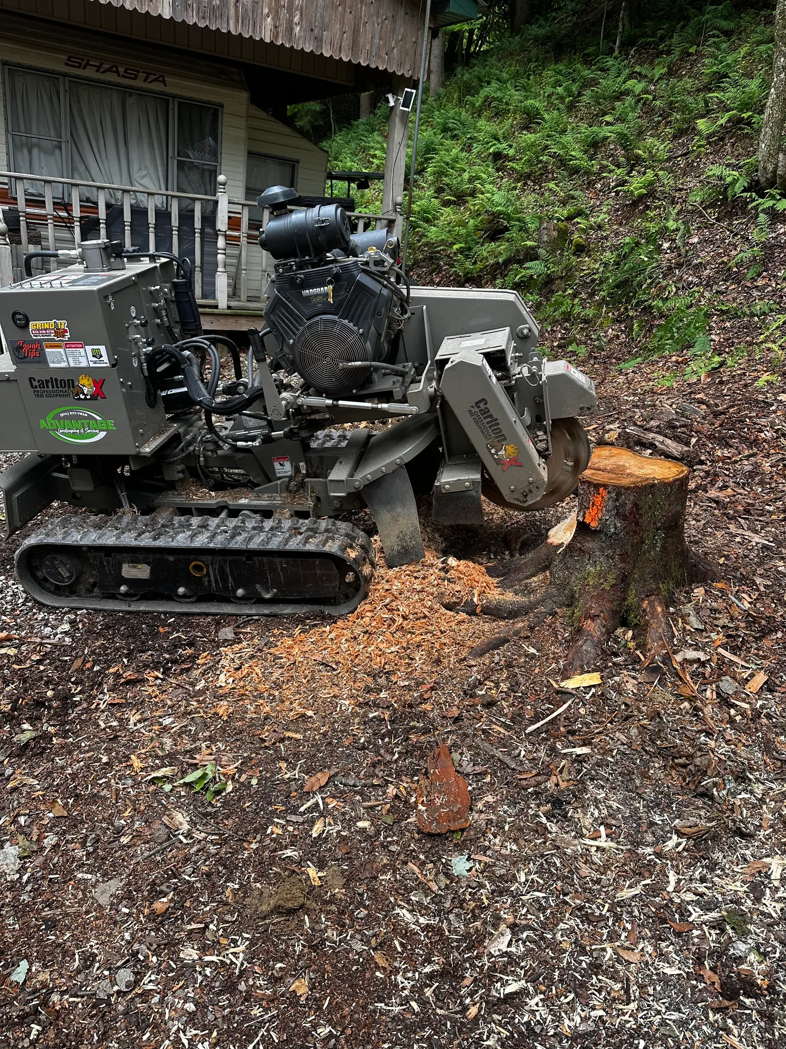 Stump Grinding