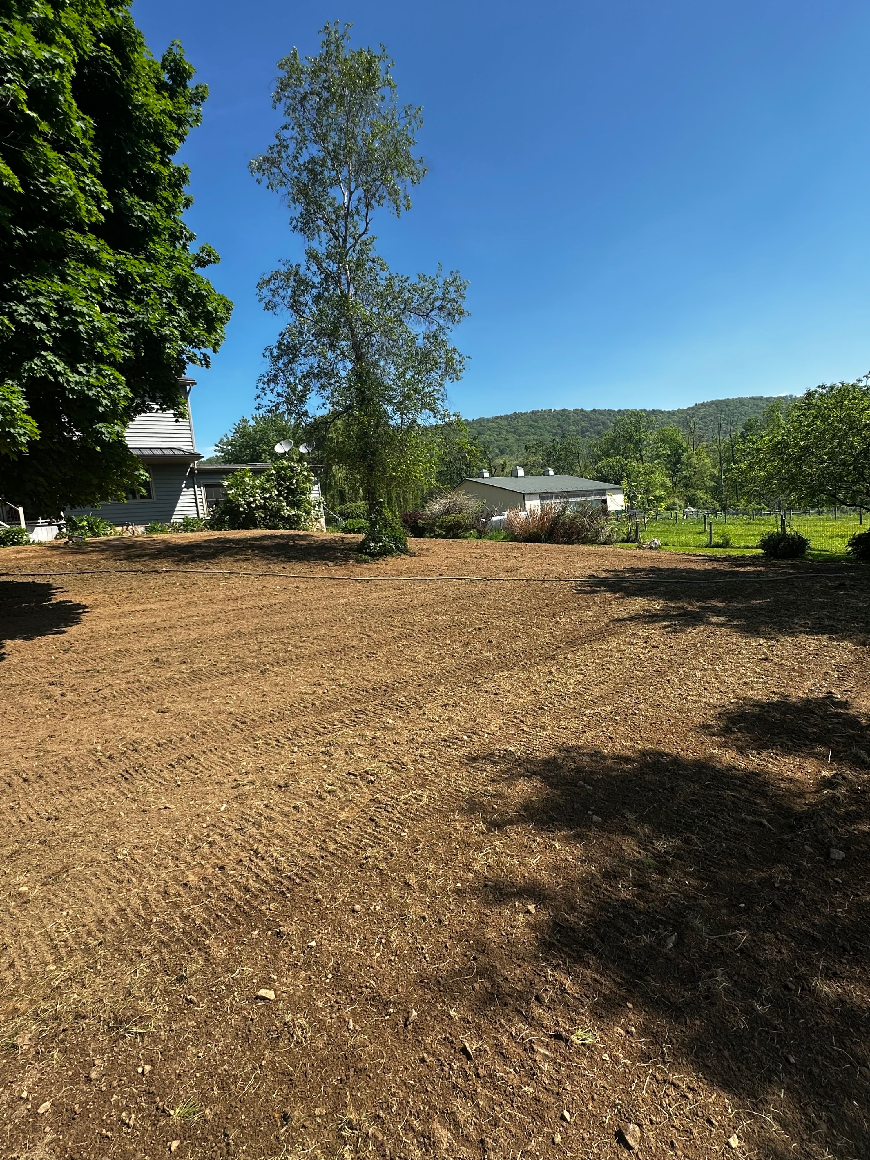 Project photo 7