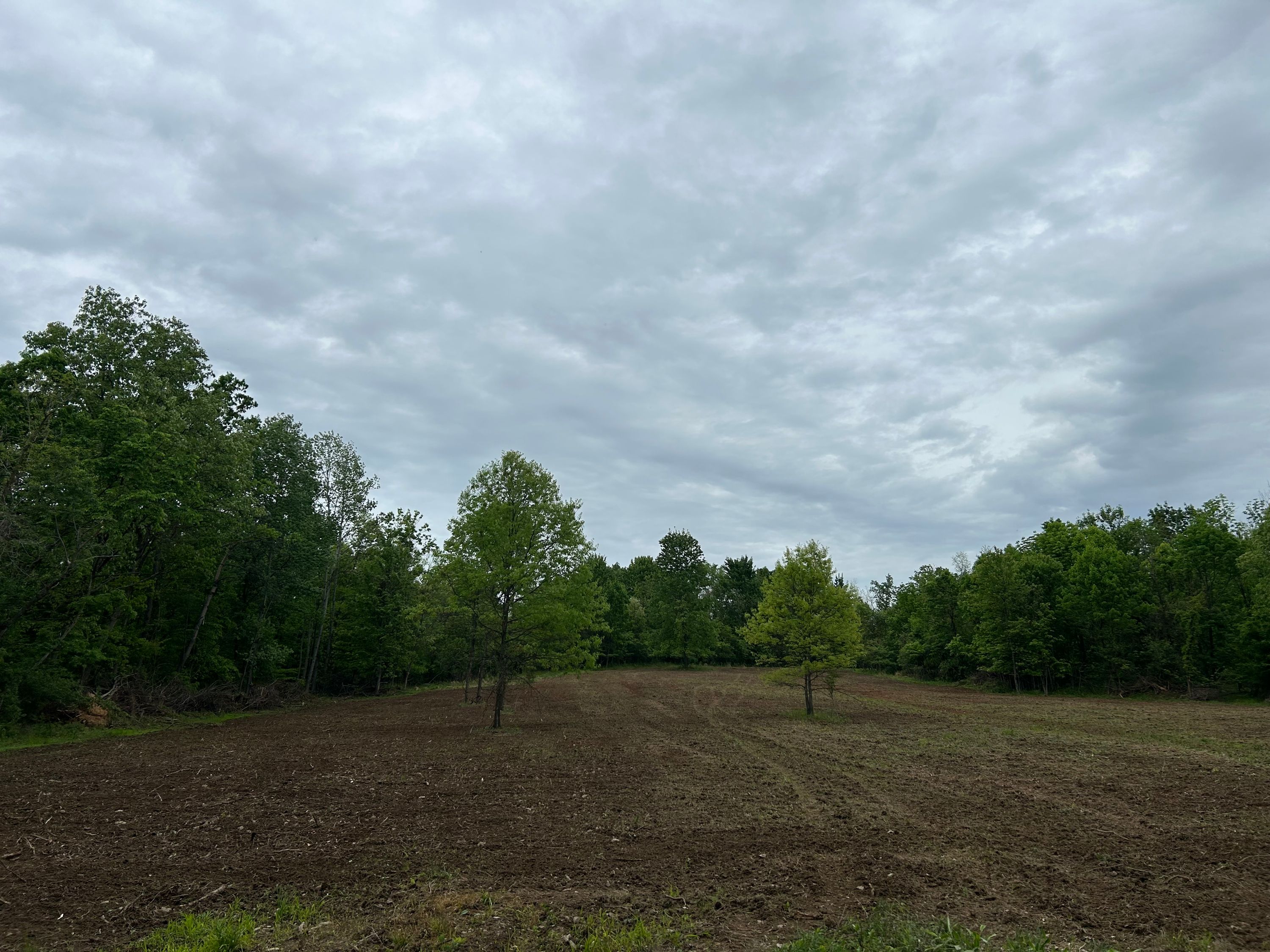 Project photo 10